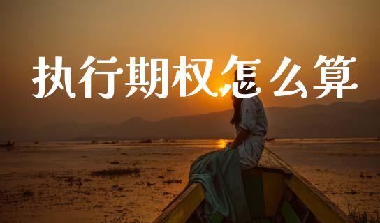 执行期权怎么算_https://cj006.lansai.wang_债券资讯_第1张