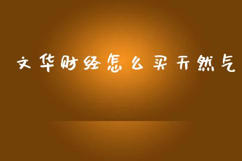文华财经怎么买天然气_https://cj006.lansai.wang_金融监管_第1张