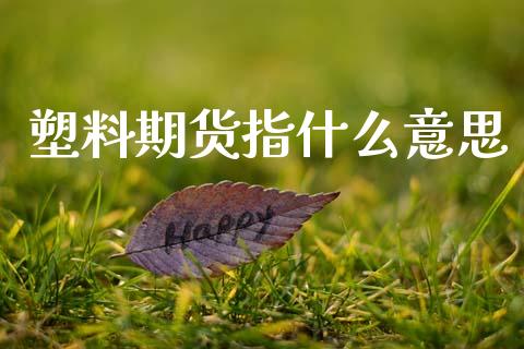 塑料期货指什么意思_https://cj006.lansai.wang_金融监管_第1张