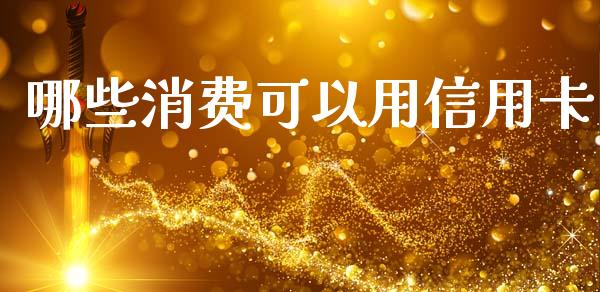 哪些消费可以用信用卡_https://cj006.lansai.wang_期货开户_第1张