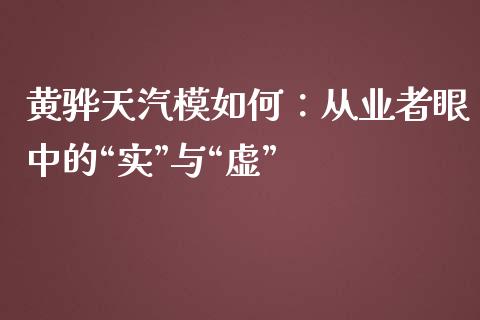 黄骅天汽模如何：从业者眼中的“实”与“虚”_https://cj006.lansai.wang_外汇交易_第1张