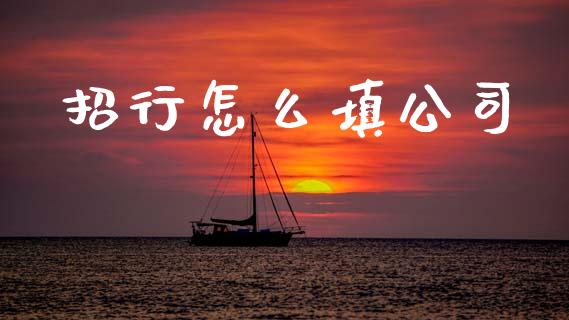 招行怎么填公司_https://cj006.lansai.wang_外汇交易_第1张