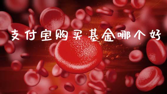 支付宝购买基金哪个好_https://cj006.lansai.wang_金融监管_第1张