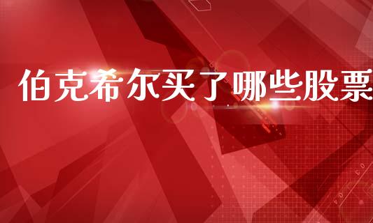 伯克希尔买了哪些股票_https://cj006.lansai.wang_外汇交易_第1张