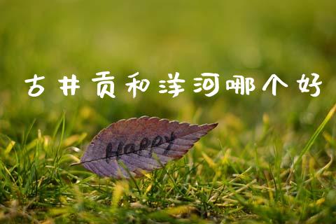 古井贡和洋河哪个好_https://cj006.lansai.wang_财经新闻_第1张