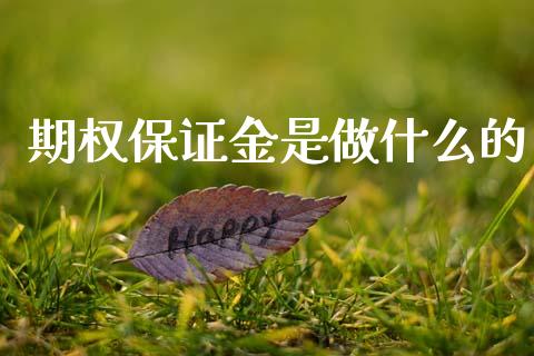 期权保证金是做什么的_https://cj006.lansai.wang_债券资讯_第1张