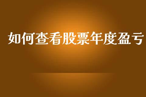 如何查看股票年度盈亏_https://cj006.lansai.wang_债券资讯_第1张