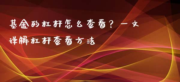 基金的杠杆怎么查看？一文详解杠杆查看方法_https://cj006.lansai.wang_债券资讯_第1张