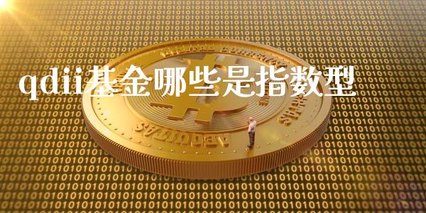 qdii基金哪些是指数型_https://cj006.lansai.wang_期货开户_第1张