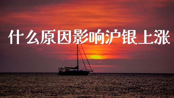 什么原因影响沪银上涨_https://cj006.lansai.wang_期货开户_第1张