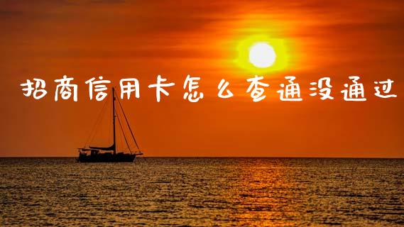 招商信用卡怎么查通没通过_https://cj006.lansai.wang_全球市场_第1张