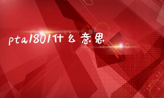 pta1801什么意思_https://cj006.lansai.wang_债券资讯_第1张