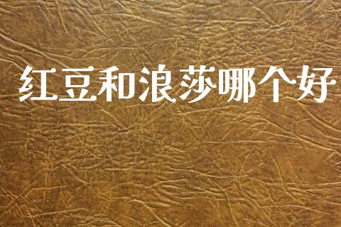红豆和浪莎哪个好_https://cj006.lansai.wang_金融监管_第1张