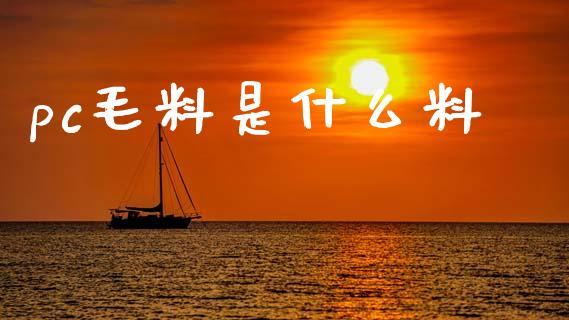 pc毛料是什么料_期货开户_第1张_期货开户_金融监管_外汇交易_债券资讯_全球市场_财经新闻 pc毛料是什么料_https://cj006.lansai.wang_期货开户_第1张