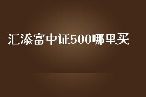 汇添富中证500哪里买_https://cj006.lansai.wang_财经新闻_第1张