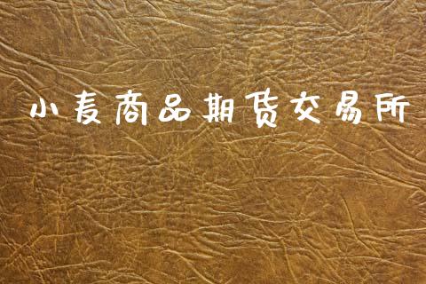 小麦商品期货交易所_全球市场_第1张_期货开户_金融监管_外汇交易_债券资讯_全球市场_财经新闻 小麦商品期货交易所_https://cj006.lansai.wang_全球市场_第1张
