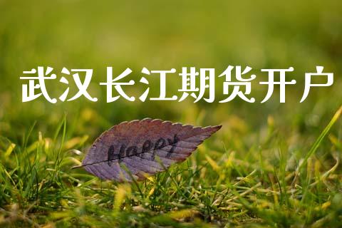 武汉长江期货开户_https://cj006.lansai.wang_外汇交易_第1张