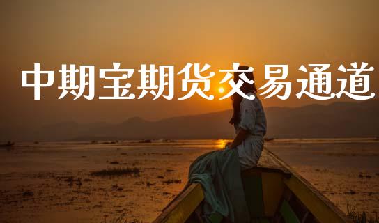 中期宝期货交易通道_https://cj006.lansai.wang_外汇交易_第1张
