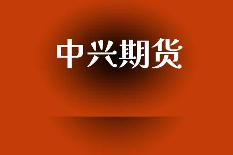 中兴期货_https://cj006.lansai.wang_期货开户_第1张
