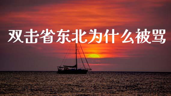 双击省东北为什么被骂_https://cj006.lansai.wang_期货开户_第1张