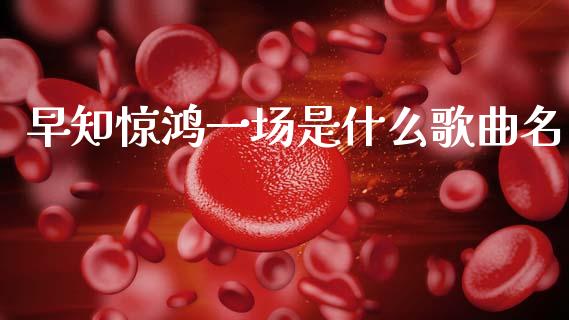 早知惊鸿一场是什么歌曲名_https://cj006.lansai.wang_财经新闻_第1张
