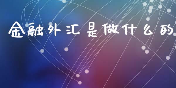 金融外汇是做什么的_https://cj006.lansai.wang_债券资讯_第1张