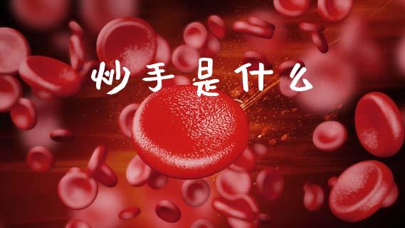 炒手是什么_https://cj006.lansai.wang_债券资讯_第1张