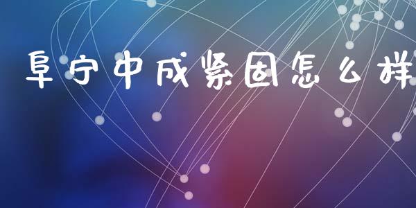 阜宁中成紧固怎么样_https://cj006.lansai.wang_债券资讯_第1张