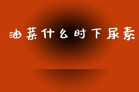 油菜什么时下尿素_债券资讯_第1张_期货开户_金融监管_外汇交易_债券资讯_全球市场_财经新闻 油菜什么时下尿素_https://cj006.lansai.wang_债券资讯_第1张