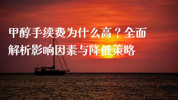 甲醇手续费为什么高？全面解析影响因素与降低策略_https://cj006.lansai.wang_金融监管_第1张