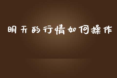 明天的行情如何操作_https://cj006.lansai.wang_债券资讯_第1张