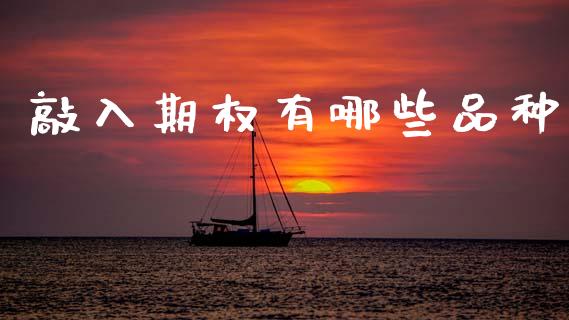 敲入期权有哪些品种_https://cj006.lansai.wang_外汇交易_第1张