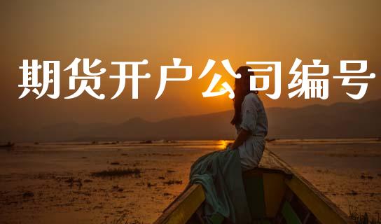 期货开户公司编号_https://cj006.lansai.wang_金融监管_第1张