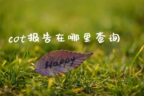 cot报告在哪里查询_https://cj006.lansai.wang_债券资讯_第1张