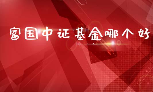 富国中证基金哪个好_https://cj006.lansai.wang_外汇交易_第1张