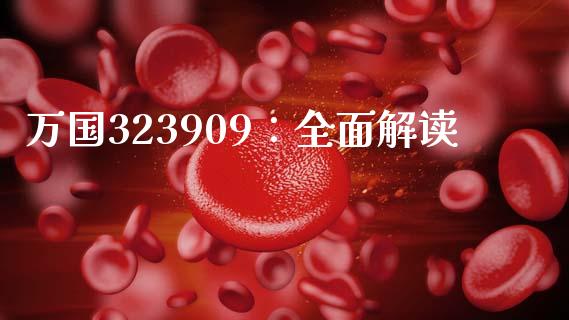 万国323909：全面解读_https://cj006.lansai.wang_全球市场_第1张
