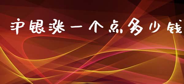 沪银涨一个点多少钱_https://cj006.lansai.wang_全球市场_第1张