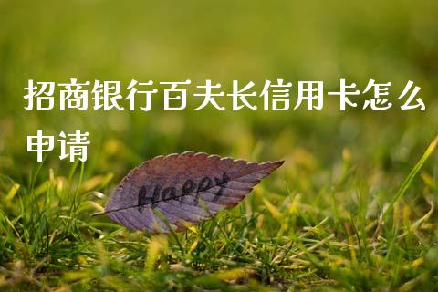招商银行百夫长信用卡怎么申请_https://cj006.lansai.wang_财经新闻_第1张