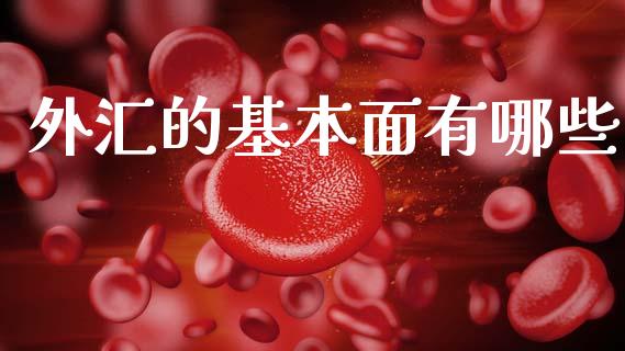 外汇的基本面有哪些_https://cj006.lansai.wang_期货开户_第1张