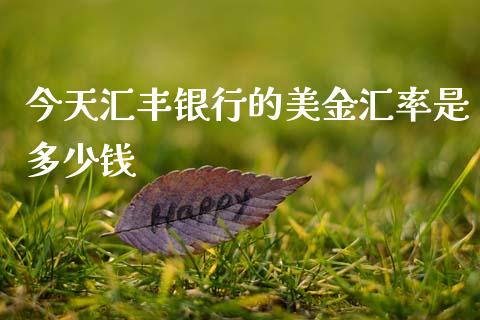 今天汇丰银行的美金汇率是多少钱_https://cj006.lansai.wang_期货开户_第1张