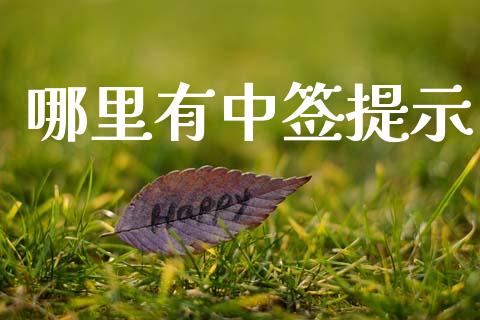 哪里有中签提示_https://cj006.lansai.wang_全球市场_第1张