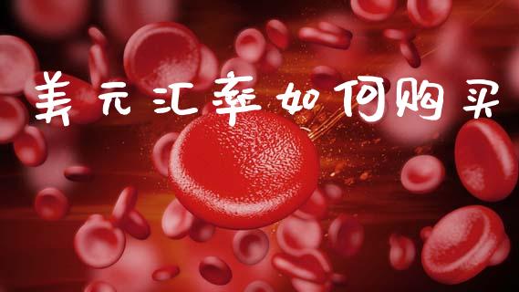 美元汇率如何购买_https://cj006.lansai.wang_外汇交易_第1张