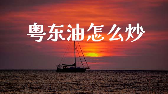 粤东油怎么炒_https://cj006.lansai.wang_财经新闻_第1张