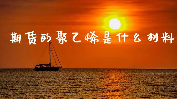 期货的聚乙烯是什么材料_https://cj006.lansai.wang_全球市场_第1张