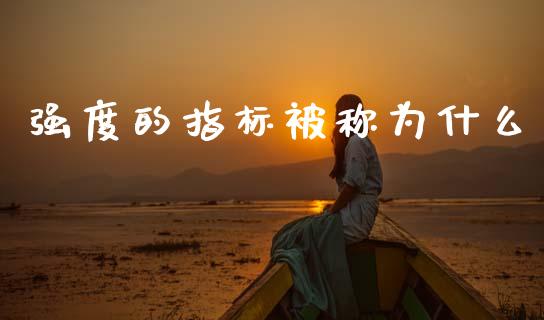强度的指标被称为什么_https://cj006.lansai.wang_金融监管_第1张