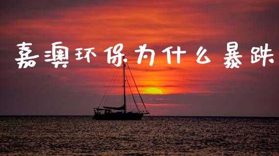 嘉澳环保为什么暴跌_https://cj006.lansai.wang_债券资讯_第1张