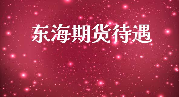东海期货待遇_https://cj006.lansai.wang_债券资讯_第1张