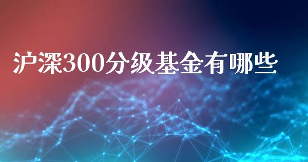 沪深300分级基金有哪些_https://cj006.lansai.wang_期货开户_第1张