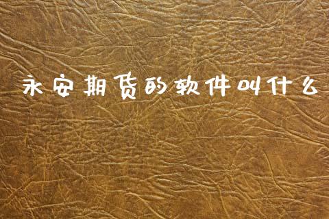 永安期货的软件叫什么_https://cj006.lansai.wang_外汇交易_第1张
