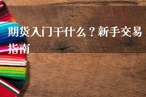 期货入门干什么？新手交易指南_https://cj006.lansai.wang_外汇交易_第1张